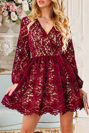 Wine Red V Neck Lace Skater Mini Dress e4313